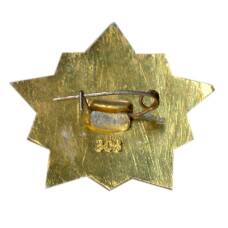 Значок Воин-спортсмен — II ступень (вид 2)