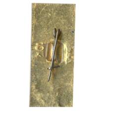 Значок Муром (вид 2)