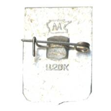 Значок Липецк (вид 2)