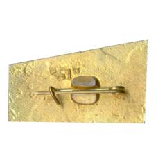 Значок Сочи (вид 2)