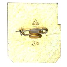 Значок Владимир (вид 2)