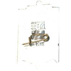 Значок Херсон (вид 2)