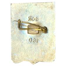 Значок Симферополь (вид 2)