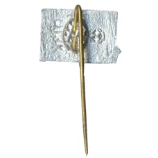 Значок Днепр (вид 2)