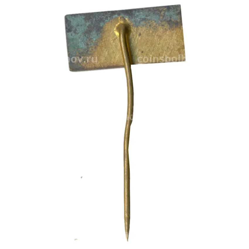 Значок рекламный ROKYCANY (вид 2)