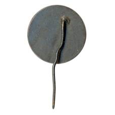 Значок Рига (вид 2)