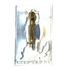 Значок А.С. Пушкин (вид 2)