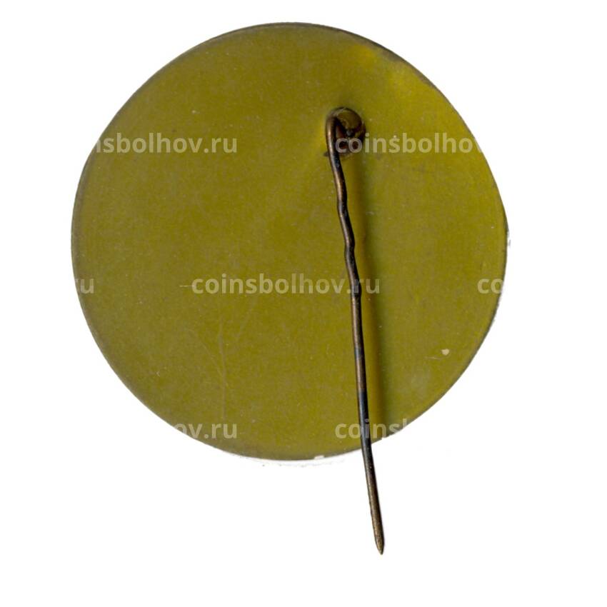 Значок Москва- Первомайский район (вид 2)