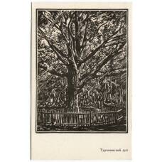 Открытка Дуб И.С. Тургенева — художник «А. Мищенко»