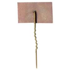 Значок Вильнюс (вид 2)