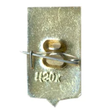 Значок Переславль (вид 2)