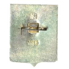 Значок Гробин (вид 2)