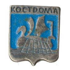 Значок Кострома