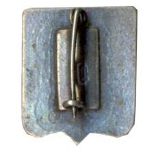 Значок Кострома (вид 2)