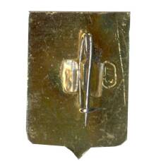 Значок Владимир (вид 2)