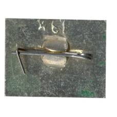 Значок Горький (вид 2)