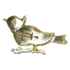 Значок Попугай (вид 2)