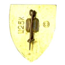 Значок Симферополь (вид 2)