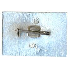 Значок Волгоград (вид 2)