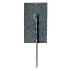 Значок Саласпилс (вид 2)