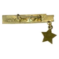 Значок Севастополь (вид 2)