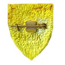 Значок Симферополь (вид 2)