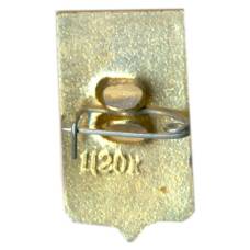 Значок Данилов (вид 2)