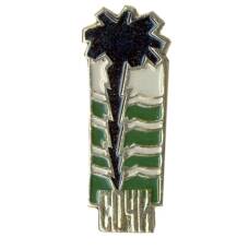 Значок Сочи