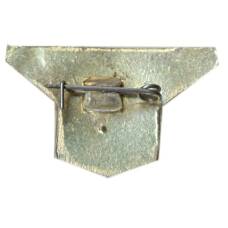 Значок рекламный VNI WARE LTD (вид 2)