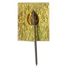 Значок Кисловодск (вид 2)