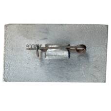 Значок И.Н. Ульянов — русский педагог (вид 2)