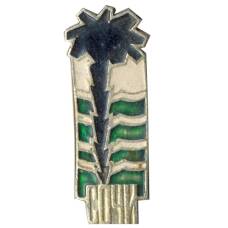 Значок Сочи