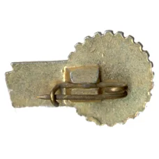 Значок Всероссийское общество изобретателей и рационализаторов (ВОИР) (вид 2)