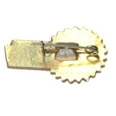 Значок Всероссийское общество изобретателей и рационализаторов (ВОИР) (вид 2)