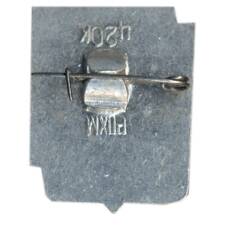 Значок Ростов — на — Дону (вид 2)