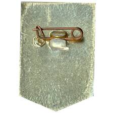 Значок Ударник коммунистического труда (вид 2)