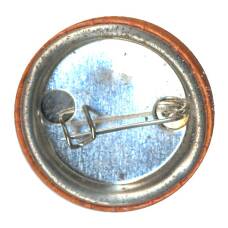 Значок Человек и природа (вид 2)