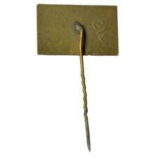 Значок Вильнюс (вид 2)