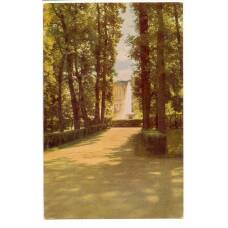 Открытка Ленинград — Петродворец..  Аллея парка