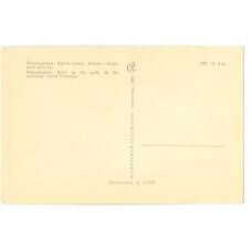 Открытка Ленинград — Петродворец..  Аллея парка (вид 2)