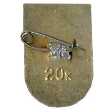 Значок Молдавия (вид 2)