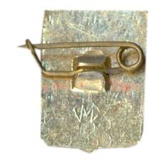 Значок Александров (вид 2)