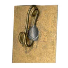 Значок Карпаты (вид 2)