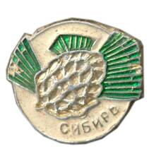 Значок Сибирь