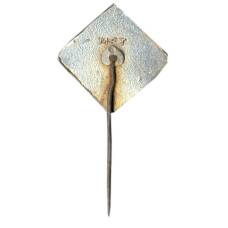 Значок рекламный NEL (вид 2)