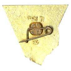 Значок Киев (вид 2)