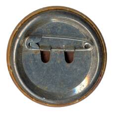 Значок Череп (вид 2)