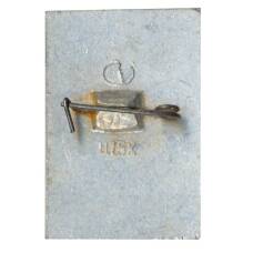 Значок Общество охраны памятников истории и культуры РСФСР (вид 2)