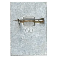 Значок Общество охраны памятников истории и культуры РСФСР (вид 2)