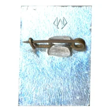 Значок Общество охраны памятников истории и культуры РСФСР (вид 2)